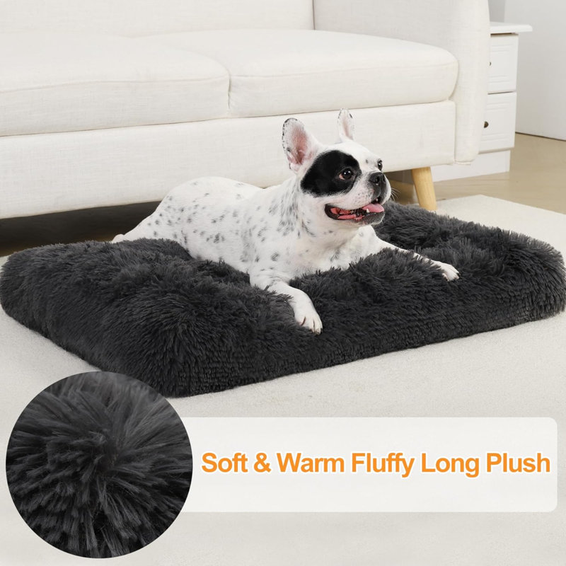 Shops dog beds and mats